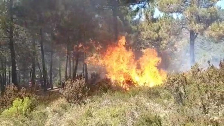 Sultanbeyli’de Teferrüç Ormanında Yangın Çıktı. Yangına Helikopterle Müdahale Ediliyor.