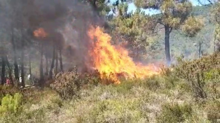 Sultanbeyli’de Teferrüç Ormanında Yangın Çıktı. Yangına Helikopterle Müdahale Ediliyor.