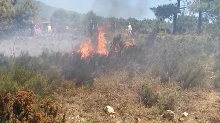Sultanbeyli’deki Orman Yangını Kontrol Altına Alındı