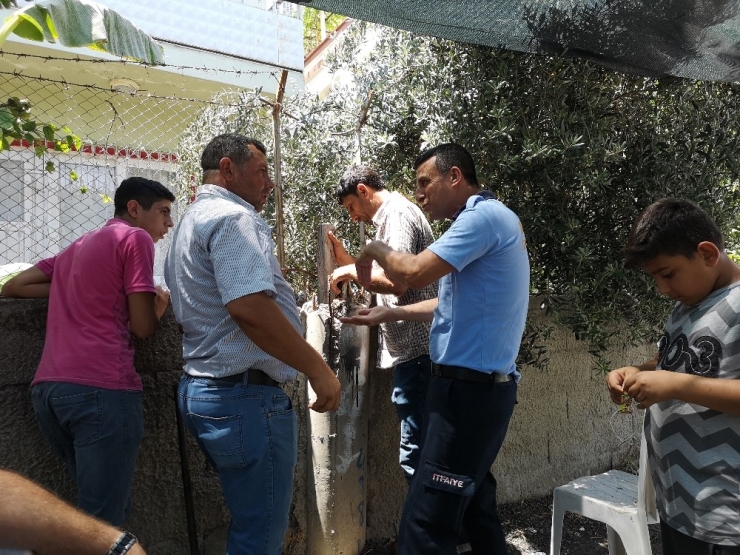 Tarsus’ta Elektrik Direği İçine Sıkışan Kediyi İtfaiye Kurtardı