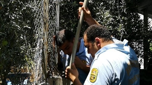 Tarsus’ta Elektrik Direği İçine Sıkışan Kediyi İtfaiye Kurtardı