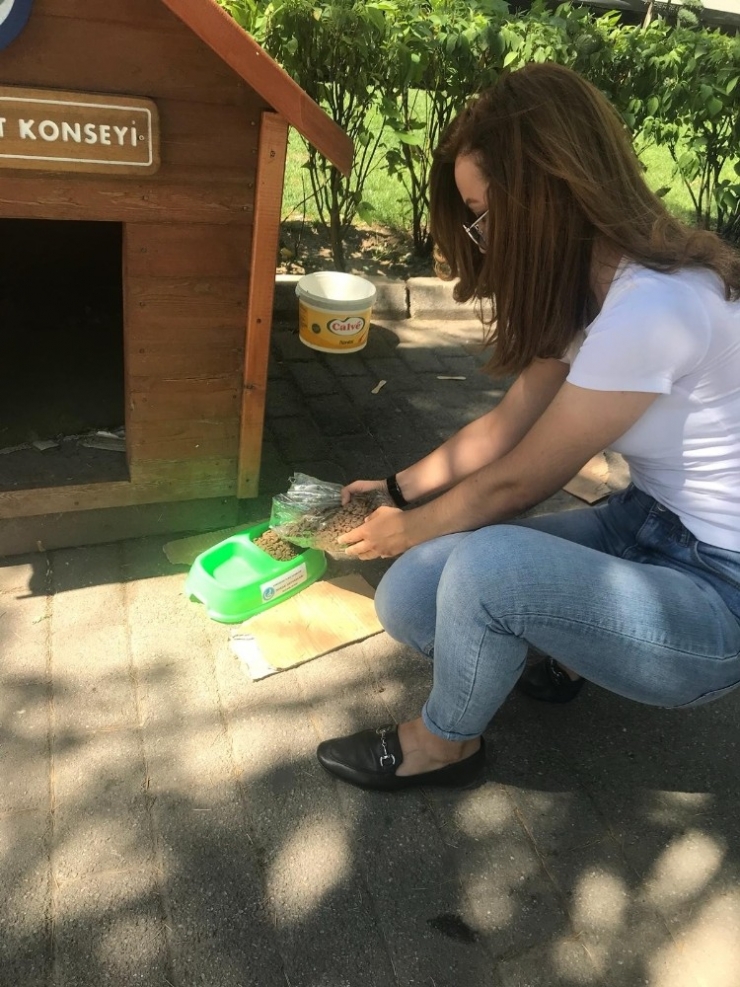 Ülkü Ocakları ’Kaba Can Kat’ Projesiyle Örnek Oluyor