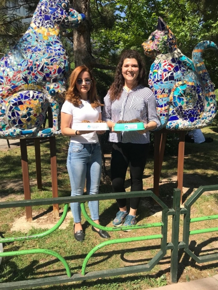 Ülkü Ocakları ’Kaba Can Kat’ Projesiyle Örnek Oluyor