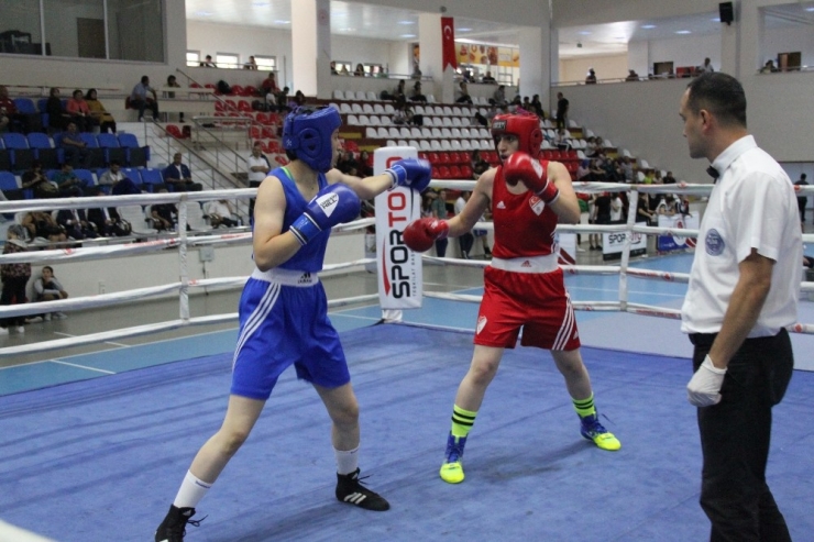 Türkiye Boks Şampiyonası Sona Erdi