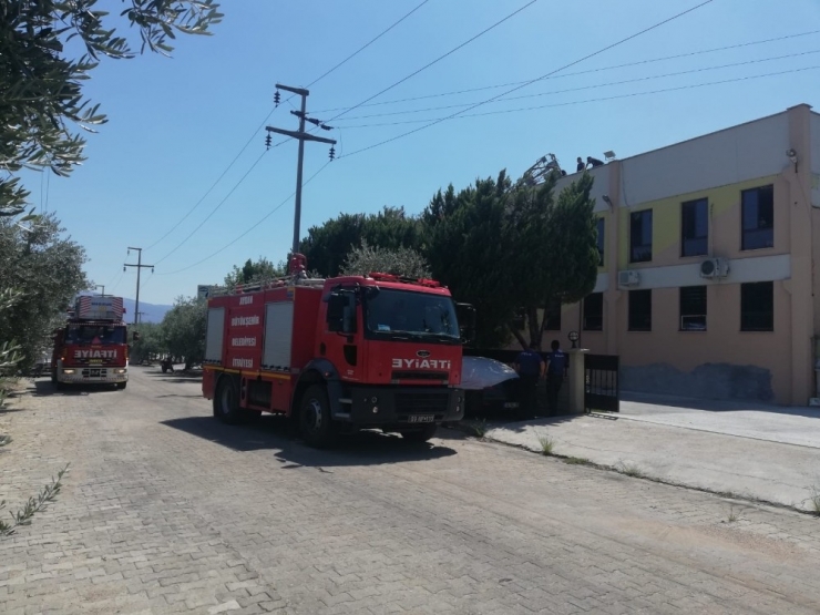 Aydın’da Fabrika Yangını; Zehirlenen Bir Kişi Hastaneye Kaldırıldı
