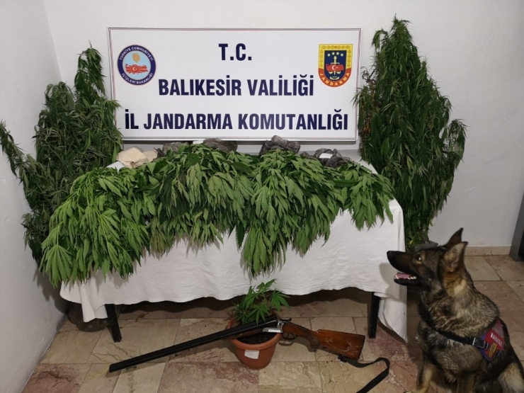 Bandırma’da Uyuşturucu Operasyonu