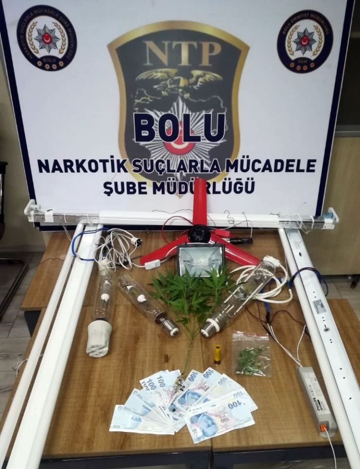 Bolu’da Uyuşturucu Operasyonu: 1 Gözaltı