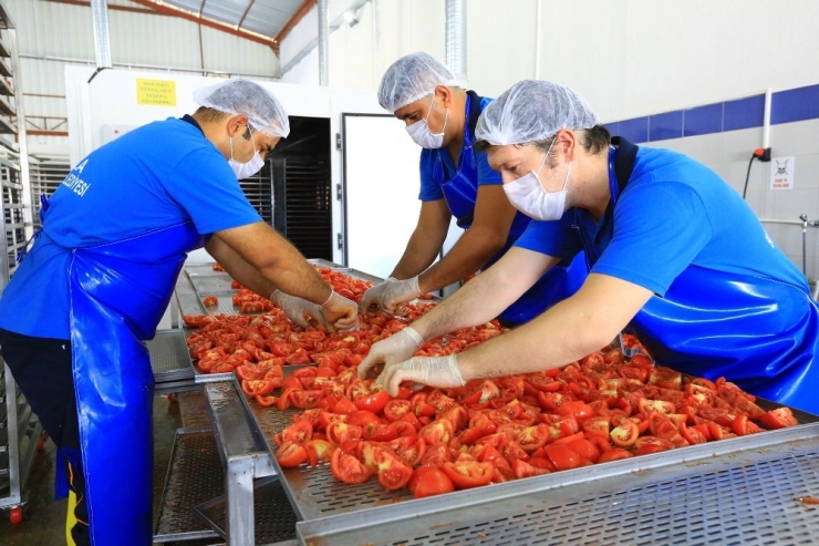 Büyükşehirden Ürünlerin Ömrünü Uzatan Tesis