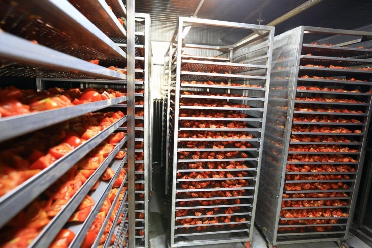 Büyükşehirden Ürünlerin Ömrünü Uzatan Tesis