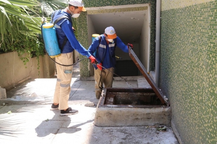 Haliliye’de Haşereyle Mücadele Operasyonu