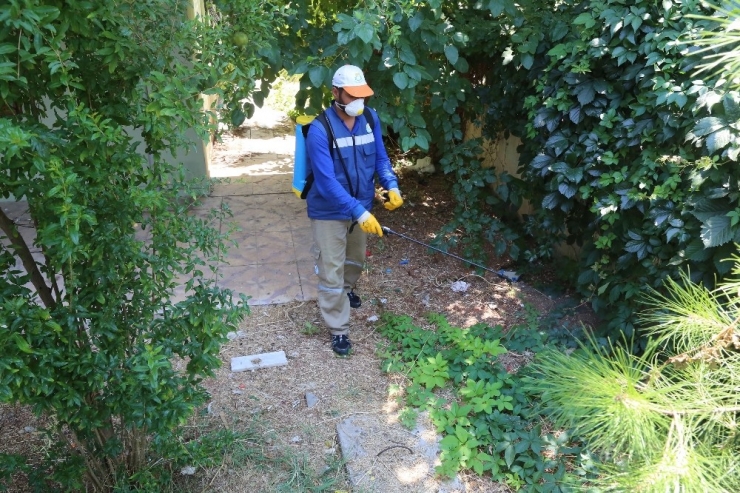 Haliliye’de Haşereyle Mücadele Operasyonu