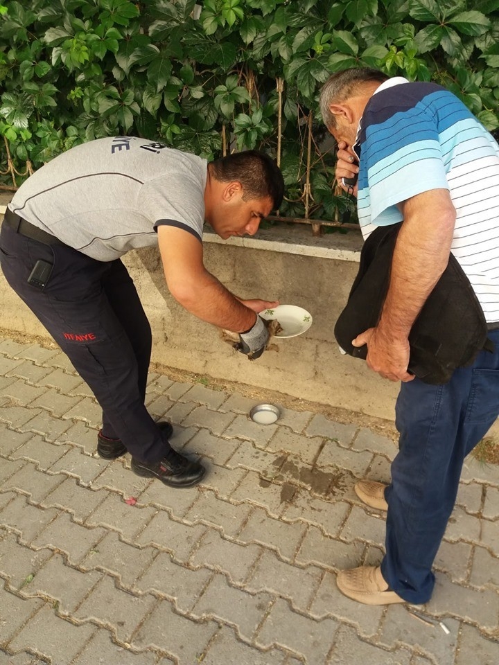 Aracın Motor Kısmına Giren Yavru Kediyi İtfaiye Ekipleri Çıkardı