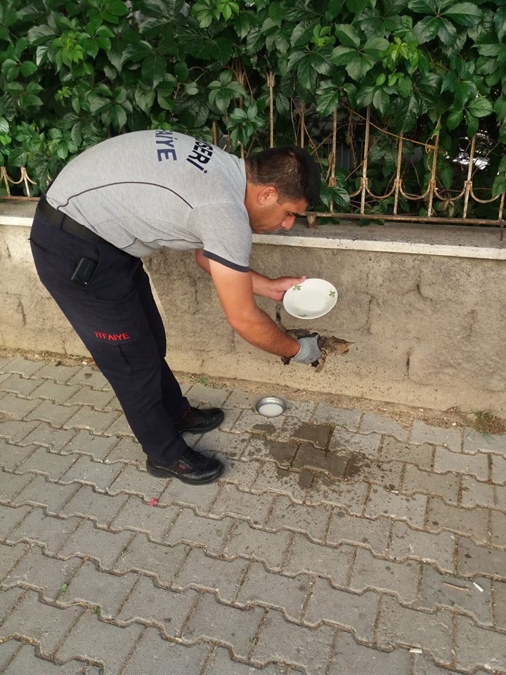 Aracın Motor Kısmına Giren Yavru Kediyi İtfaiye Ekipleri Çıkardı