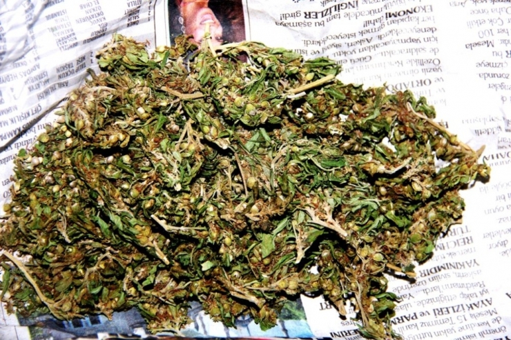 Uyuşturucu Üreten Baba-oğula Jandarma Baskını