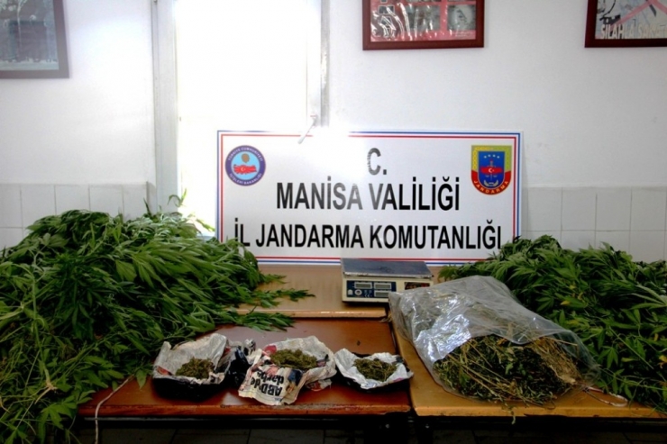 Uyuşturucu Üreten Baba-oğula Jandarma Baskını