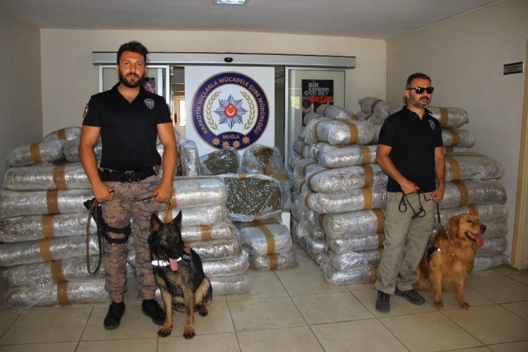 Muğla’da 50 Milyon Liralık Uyuşturucu Ele Geçirildi
