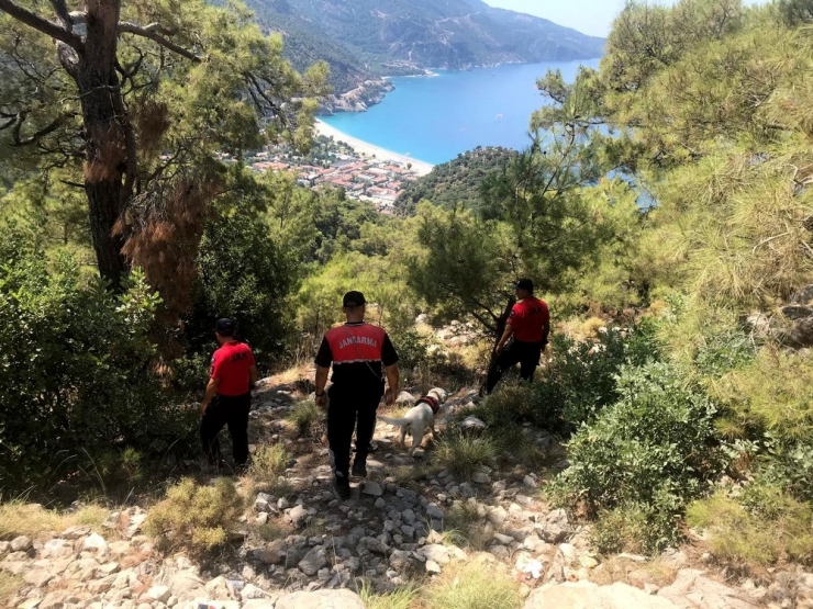 Kayıp İngiliz Bulunamıyor