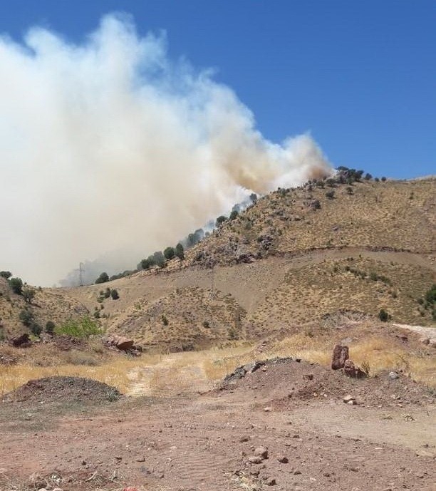 Adıyaman’da Orman Yangını
