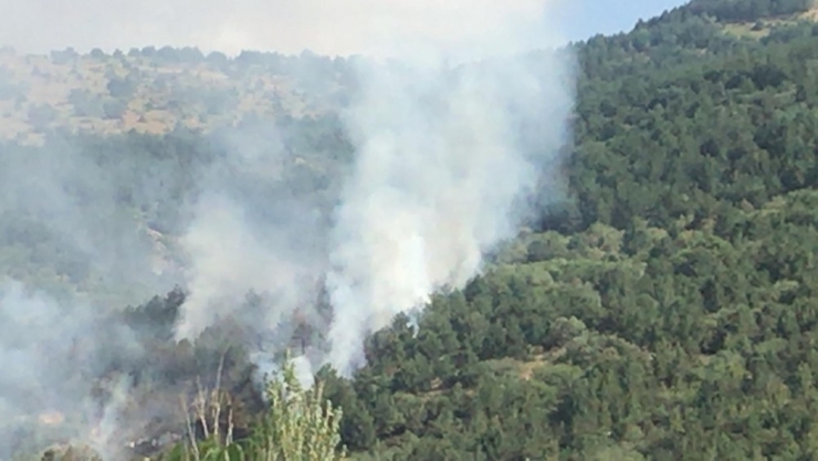 Afyonkarahisar’da Orman Yangını