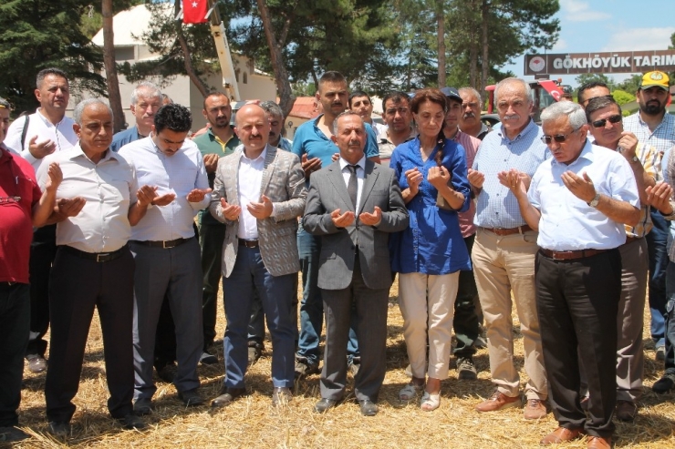 Amasya’da Yeni Hasat Dönemi Başladı