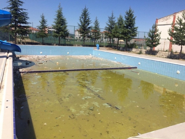 Başkan Tekin, Yüzme Havuzu Çalışmalarını İnceledi