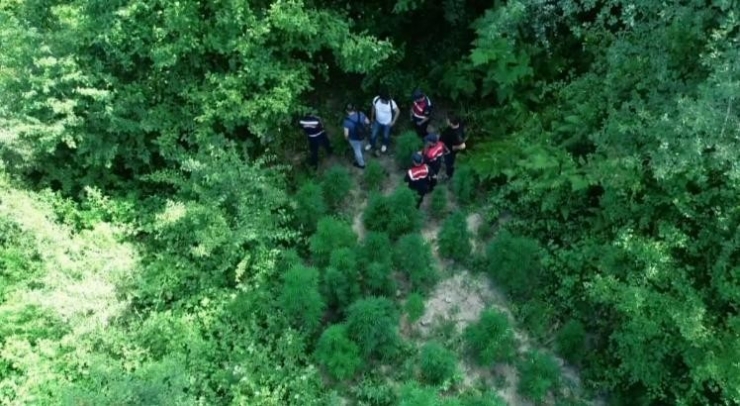 Jandarmadan Nefes Kesen Uyuşturucu Operasyonu