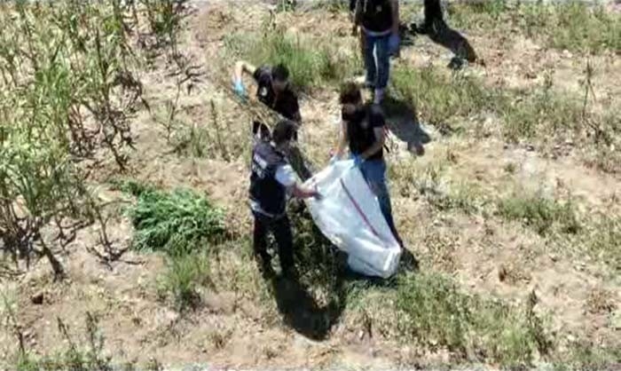 Denizli’de 93 Kilo Esrar Ele Geçirildi