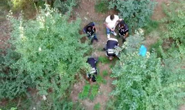 Denizli’de 93 Kilo Esrar Ele Geçirildi