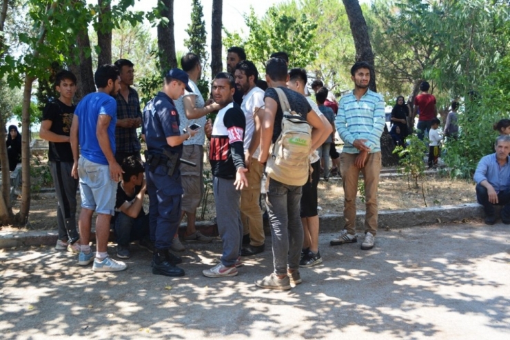 Ayvalık’ta 51 Afgan Mülteci Yakalandı