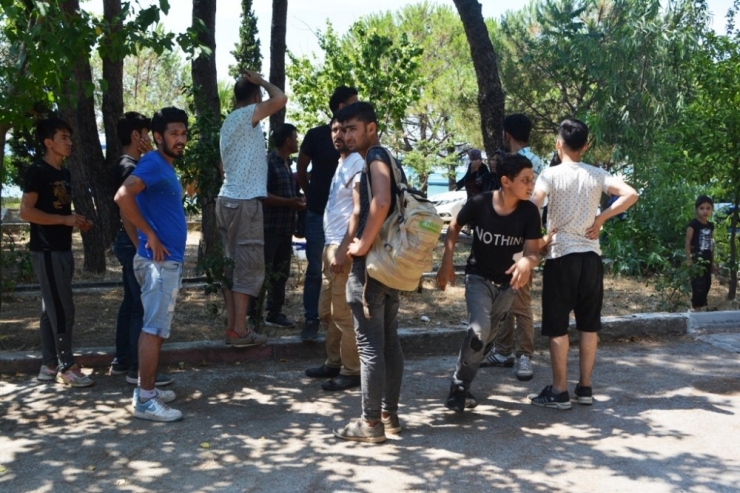 Ayvalık’ta 51 Afgan Mülteci Yakalandı