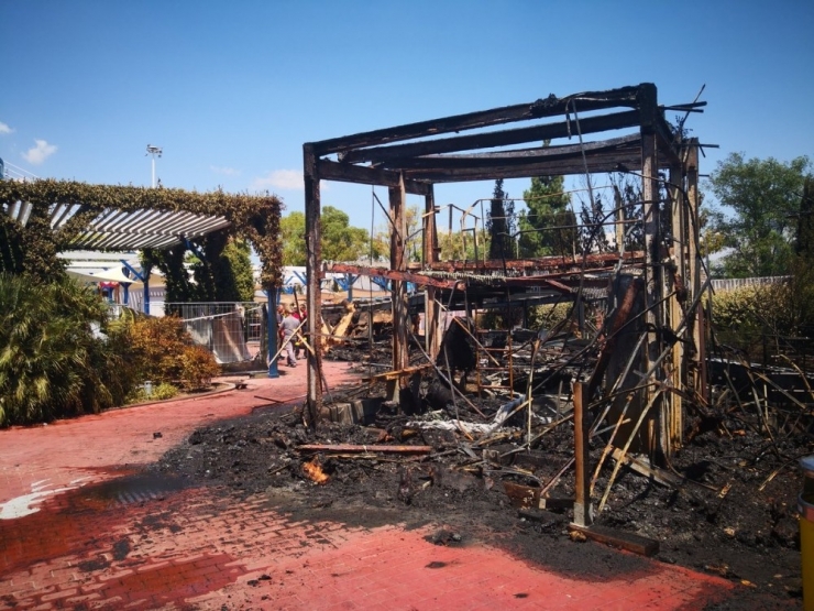 Avrupa’nın En Büyük Akvaryumunda Yangın