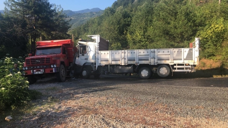 Yenice’de Kamyonlar Çarpıştı: 2 Yaralı