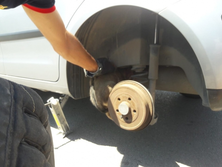 Otomobilin Teker Kısmına Giren Yavru Köpeği İtfaiye Ekipleri Kurtardı