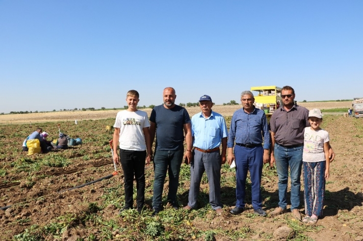 Niğde’de Turfanda Patates Hasadı Başladı