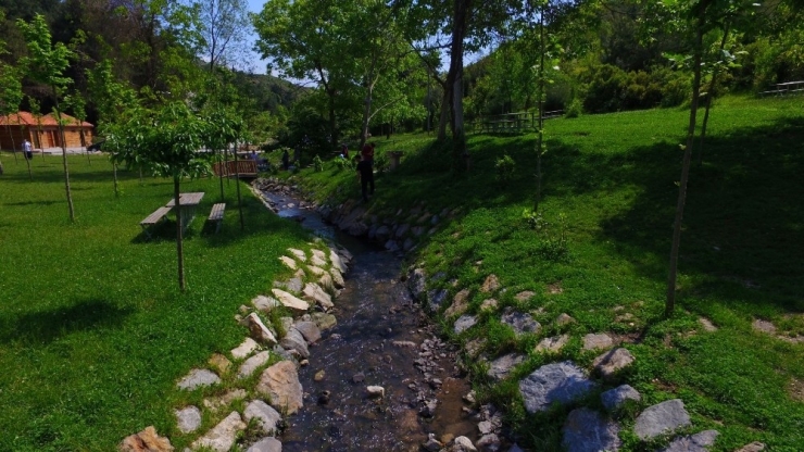 Kocaeli’nde 1 Kişiye 12 Metrekare Yeşil Alan