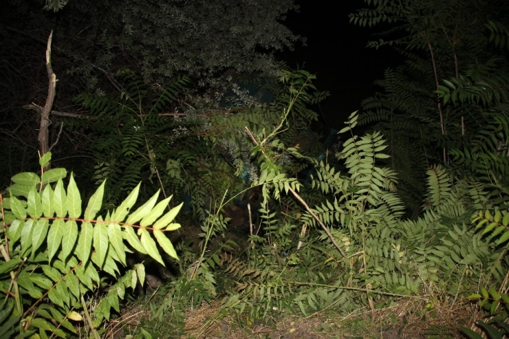 Tırın Üzerindeki İş Makinesi Şarampole Yuvarlandı