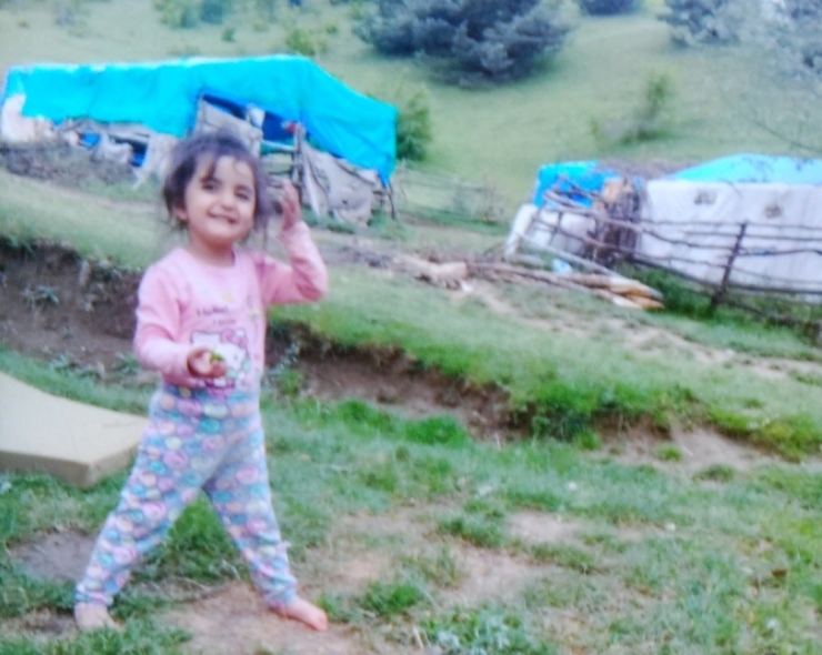 Evrim, 1 Yıldır Kayıp