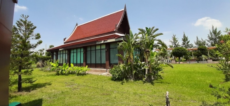 Tsyd - Expo İş Birliği