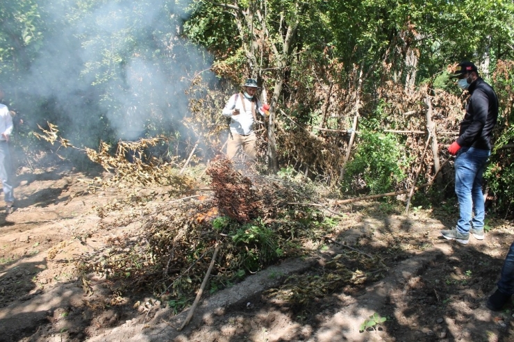 Hevsel Bahçelerindeki Uyuşturucu Operasyonu Tamamlandı