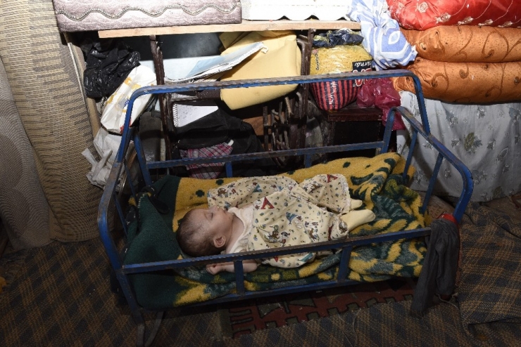 Yılan Ve Akrep Korkusundan Uyuyamıyorlar