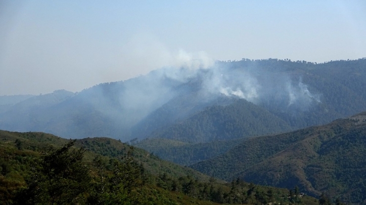 Suriye Sınırındaki Orman Yangını Devam Ediyor