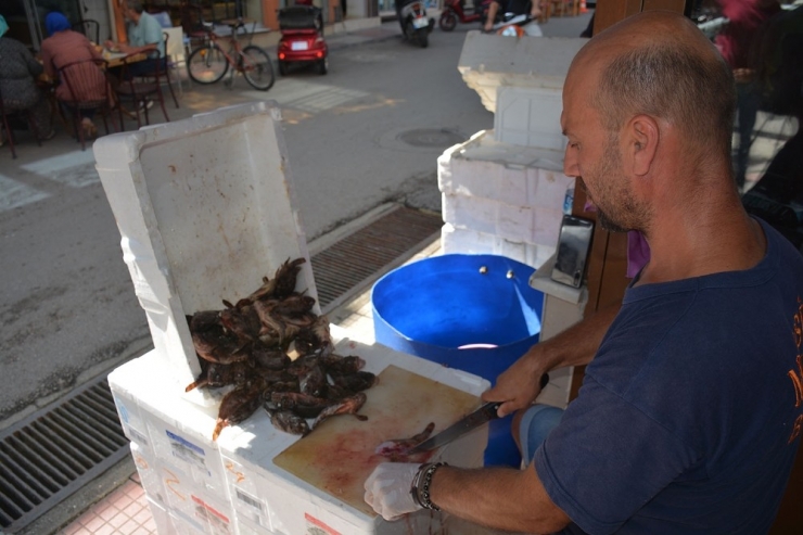 İskorpit Balığı Tezgahların Vazgeçilmezi Haline Geldi