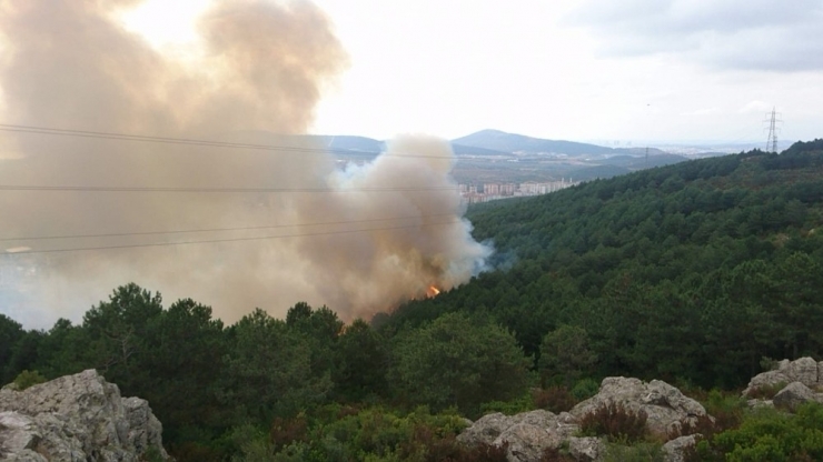Aydos Ormanında Korkutan Yangın