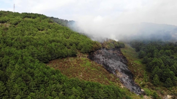 Aydos Ormanında Çıkan Yangın Havadan Görüntülendi