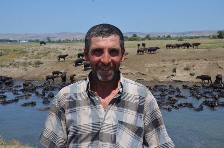 Burası Güney Afrika Değil Balıkesir Ovası