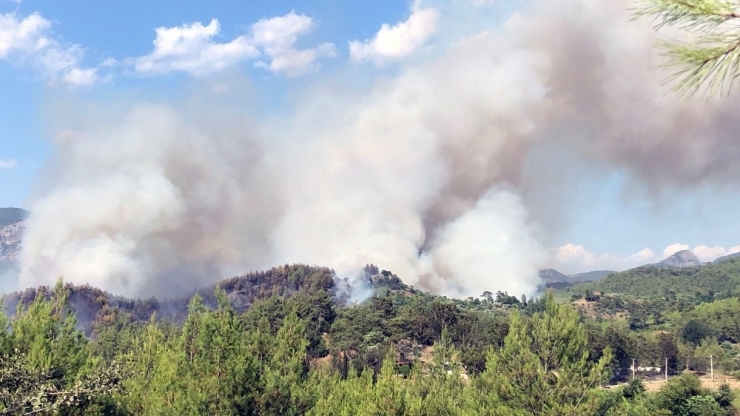 Dalaman’da Orman Yangını