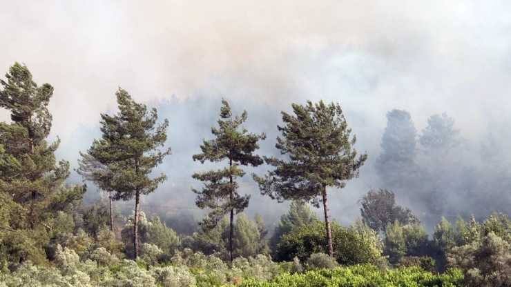 Dalaman Yangını Büyüyor