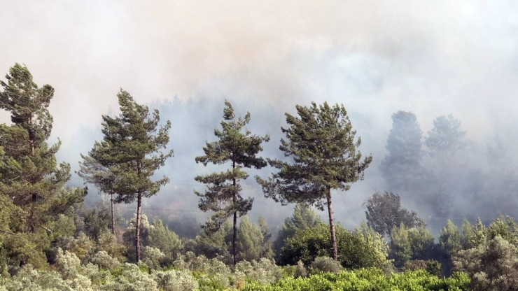 Muğla’da Alevlerin Tehdit Ettiği İki Köy Boşaltıldı