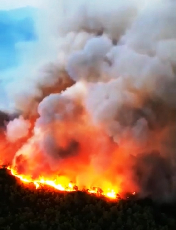 Muğla’nın Ciğerlerini Yakan Yangın Havadan Görüntülendi