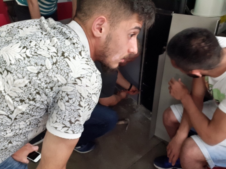 Rize’de Kedi Kurtarma Operasyonu